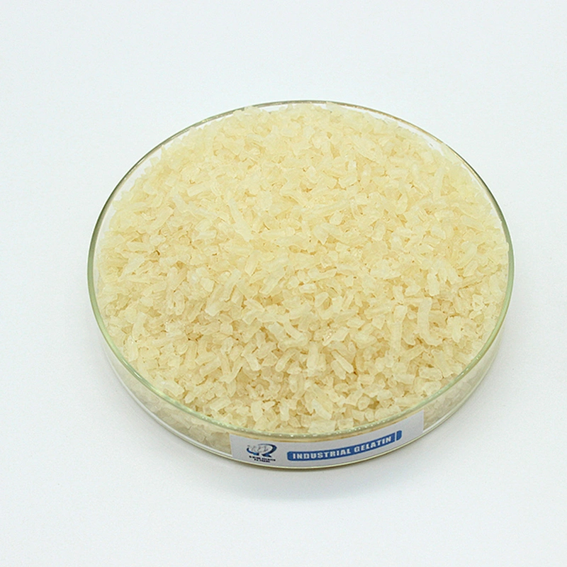 Different Blooms Mesh of Edible Gelatin CAS 9000-70-8