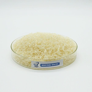 Different Blooms Mesh of Edible Gelatin CAS 9000-70-8