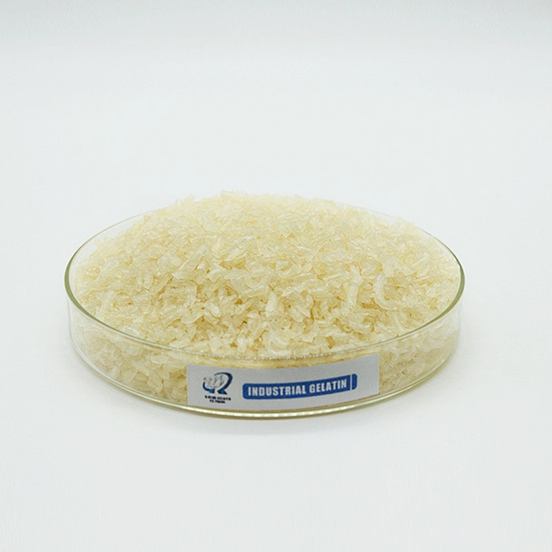 Different Blooms Mesh of Edible Gelatin CAS 9000-70-8